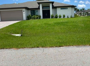 Michael T.'s Lawn Care service result