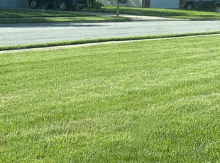 Jordan P.'s Lawn Care service result