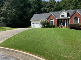 Sherry B.'s Lawn Mowing service result