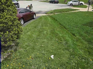 Jeremy W.'s Grass Cutting service result