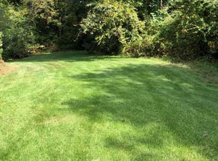 Jeffery W.'s Yard Cutting service result