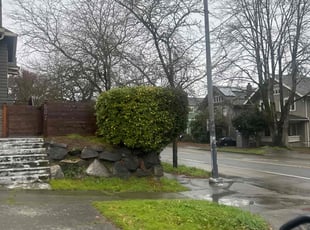 Bush Trimming by Richard Luiza Jr for Sahar A. in Seattle, WA