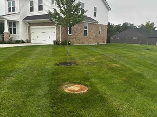 Linda M.'s Lawn Mowing service result