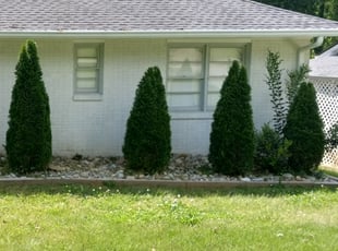 Landscaping by Mark Redden for Michael T. in Atlanta, GA