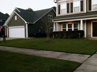 Bush Trimming by Brandon Sanders for Leslie M. in Charleston, SC