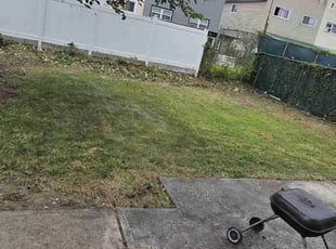 Bush Trimming by Yefri Mata for Jeff H. in Queens, NY