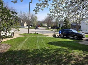 Susan C.'s Lawn Mowing service result