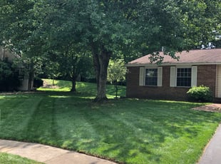 Keith G.'s Lawn Mowing Service service result