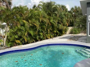 Bush Trimming by Robert Lee for Walter R. in Siesta Key, FL