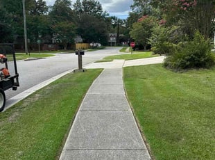 Paula S.'s Lawn Mowing service result