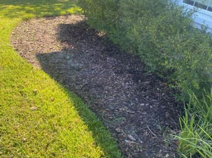 Weeding by Yon Helton for Justin T. in St. Augustine, FL