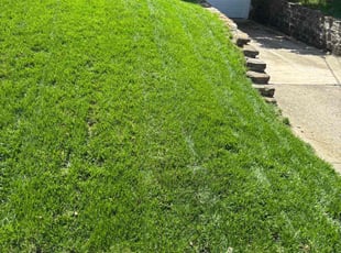 Ed G.'s Lawn Mowing Service service result