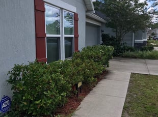 Bush Trimming by Gerrad Peterson for Sharon B. in Jacksonville, FL