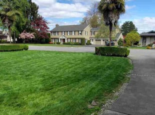 Gale J.'s Yard Cutting service result