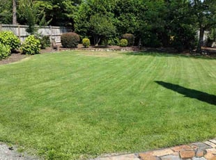 Jewel W.'s Lawn Maintenance service result