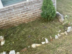 Weeding by Monte Rasheed for Matthew F. in Pinson, AL