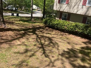 Kevin W.'s Leaf Removal service result