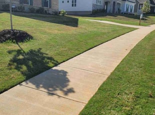 Melissa R.'s Lawn Service service result
