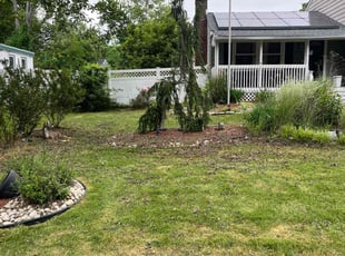 Grace P.'s Lawn Care service result