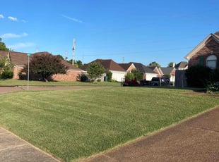 Cindy B.'s Lawn Care service result