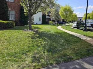 James P.'s Yard Cutting service result