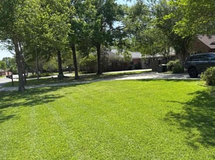 Louis D.'s Lawn Care service result