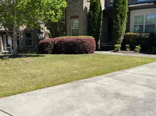 Bush Trimming by Tony Brooks III for Cheryl H. in Dacula, GA