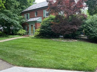 Annette H.'s Grass Cutting service result
