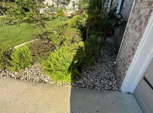 Weeding by Kyle Richardson for Teresa G. in Chesapeake, VA