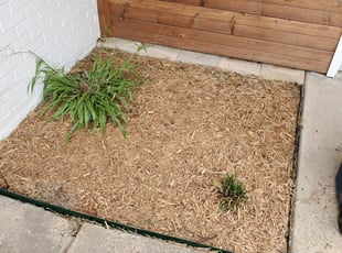 Cleanups by Jonathan Cruz for Scott R. in Dallas, TX