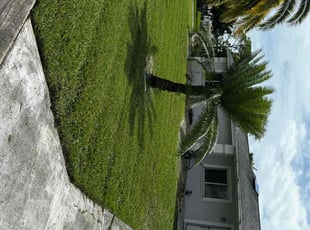Vikki P.'s Lawn Service service result