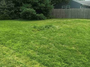 Mack P.'s Cleanups service result
