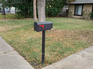 Leaf Removal by Jonathan Allen for Katie M. in Citrus Heights, CA