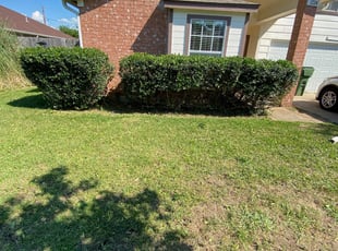Bush Trimming by Michael Trook for Gerardo D. in Mansfield, TX