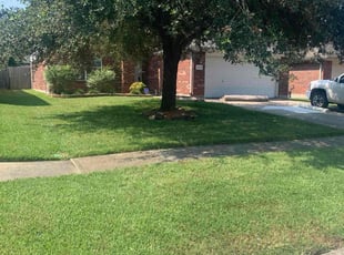 Mark S.'s Lawn Mowing service result