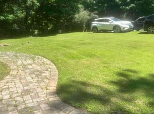 Jim M.'s Lawn Mowing service result