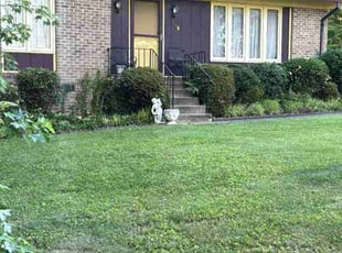 Bush Trimming by Jorge Reyes for Debbie W. in Greensboro, NC
