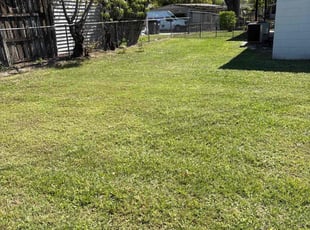 Kalee E.'s Lawn Mowing service result