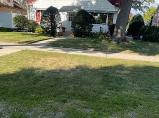Leaf Removal by Michael Williams for Lisa B. in Milwaukee, WI