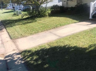 Heavenle M.'s Lawn Service service result