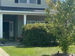 Rebecca G.'s Bush Trimming service result