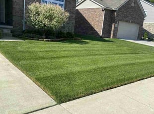 Sharon S.'s Lawn Care service result