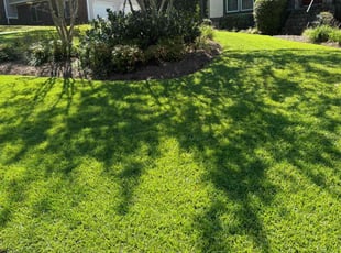 Roberto R.'s Lawn Care service result