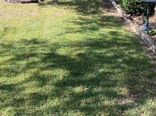 Dean H.'s Lawn Service service result