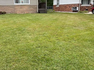 Annette J.'s Lawn Care service result