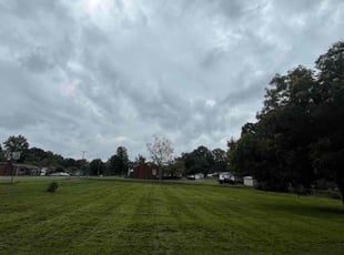 Edwin T.'s Yard Cutting service result