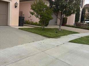 Allan D.'s Lawn Maintenance service result