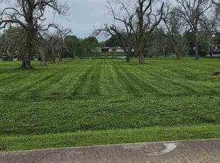 Julie D.'s Lawn Mowing service result