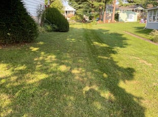 Gabriel J.'s Lawn Care service result