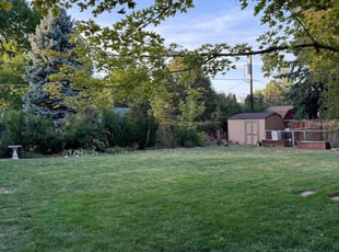 David C.'s Yard Cutting service result